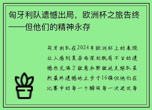 匈牙利队遗憾出局，欧洲杯之旅告终——但他们的精神永存